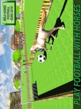Wild Horse Football Simulator游戲截圖3