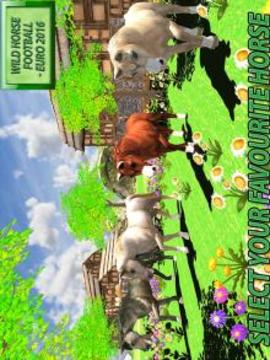 Wild Horse Football Simulator游戲截圖4