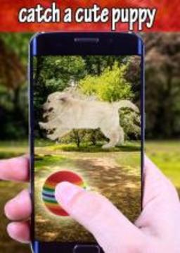 Pocket Catch Puppy Pet Go! Offline游戲截圖3