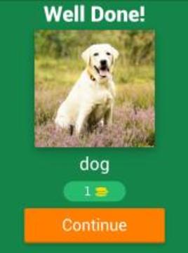 Kids Spelling Quiz - Animals and Birds游戲截圖2
