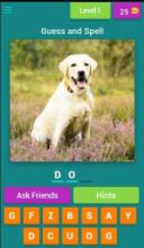 Kids Spelling Quiz - Animals and Birds游戲截圖1