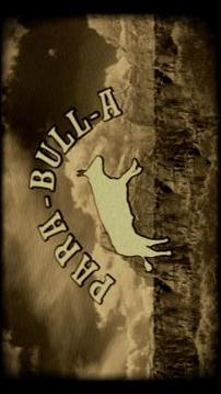 PARA-BULL-A游戲截圖1