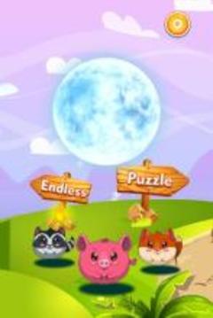 Bubble Pet Shooter游戲截圖1