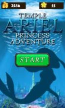 Temple Ariel: Princess Adventure游戲截圖4