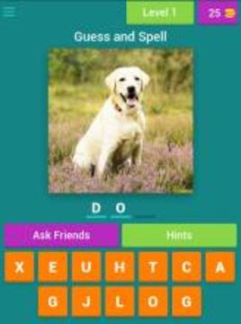 Kids Spelling Quiz - Animals and Birds游戲截圖3