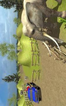 Wildlife Animal Safari游戲截圖4