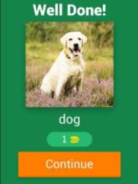 Kids Spelling Quiz - Animals and Birds游戲截圖5