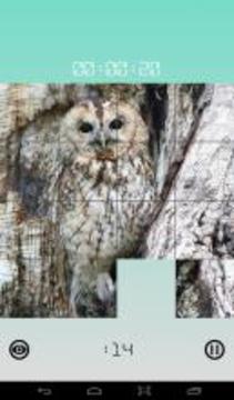 Images 15 Puzzles游戲截圖2