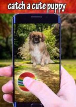 Pocket Catch Puppy Pet Go! Offline游戲截圖2