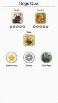 Dogs Quiz - Guess Popular Dog Breeds on the Photos游戲截圖3