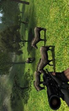动物 狩猎 非洲游戏截图3