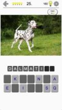 Dogs Quiz - Guess Popular Dog Breeds on the Photos游戲截圖1