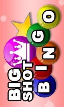 Big Shot Bingo游戲截圖1
