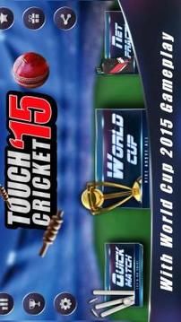 Touch Cricket T20 League 2015游戲截圖1