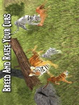 Wild Life Tiger Simulator 2016游戲截圖4