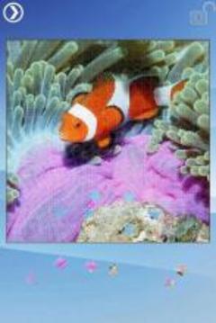 Sea Life Jigsaw Puzzles游戲截圖3