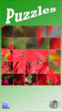 拼圖。植物?；ɑ?。邏輯游戲。游戲截圖5