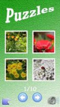 拼圖。植物?；ɑ?。邏輯游戲。游戲截圖2
