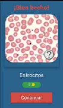 Quiz de Hematología游戲截圖2