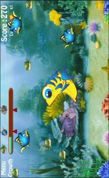 Big Fish Eat Small Fish游戲截圖4