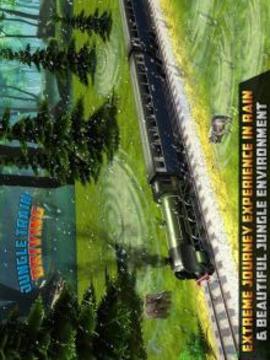 F喔rest Train Driver Si穆拉特or游戲截圖4