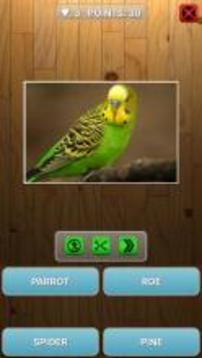 Guess animal or plant游戲截圖3