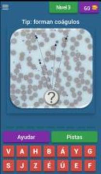 Quiz de Hematología游戲截圖4