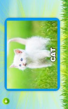 Learn Animals - Kids Puzzle游戲截圖3