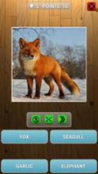 Guess animal or plant游戲截圖5