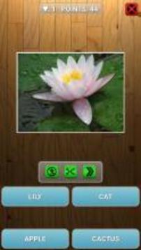 Guess animal or plant游戲截圖2