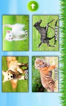 Learn Animals - Kids Puzzle游戲截圖1