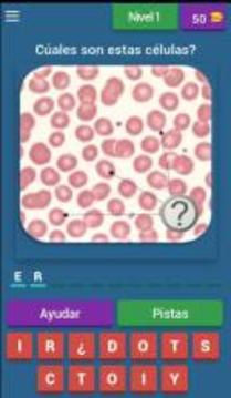 Quiz de Hematología游戲截圖1