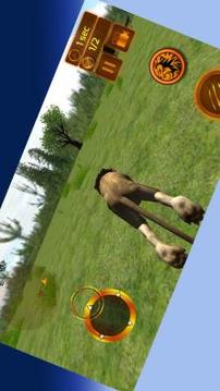 3D Lion Attack Sim游戲截圖2
