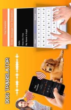 Dog Translator Simulator游戲截圖2