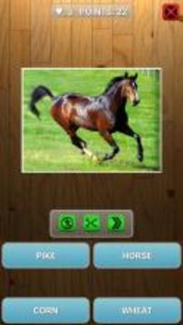Guess animal or plant游戲截圖4