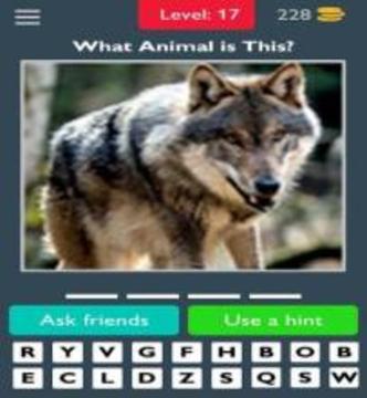 Animals Quiz Guess the Animals游戲截圖1