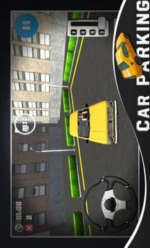 Real Dr 3D Car Parking游戲截圖4