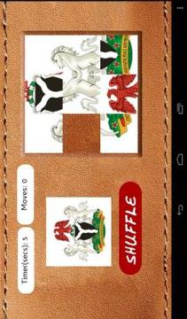 Naija COA Puzzle游戲截圖3