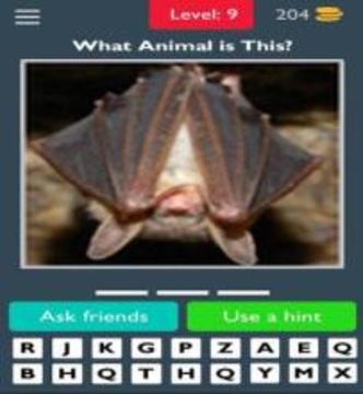 Animals Quiz Guess the Animals游戲截圖5