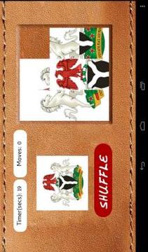 Naija COA Puzzle游戲截圖2