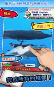 世界鯨與海豚圖鑒 ～簡(jiǎn)單圖鑒放置游戲系列～游戲截圖4