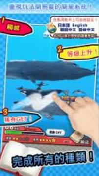 世界鯨與海豚圖鑒 ～簡(jiǎn)單圖鑒放置游戲系列～游戲截圖2