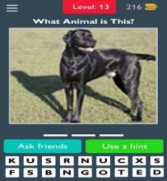 Animals Quiz Guess the Animals游戲截圖3