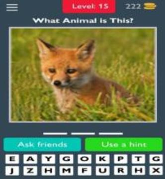 Animals Quiz Guess the Animals游戲截圖2