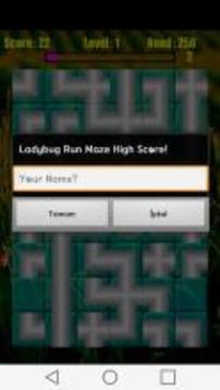 LadyBug Run Maze游戲截圖3