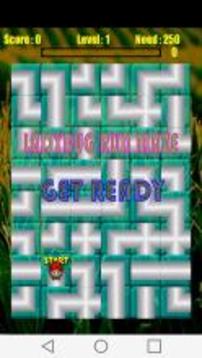 LadyBug Run Maze游戲截圖1