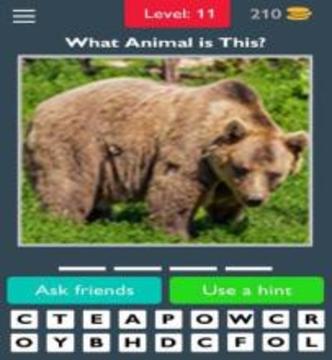 Animals Quiz Guess the Animals游戲截圖4