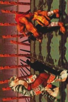 New Bloody Roar Cheat游戲截圖1