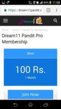 Dream11 Pandit游戲截圖4