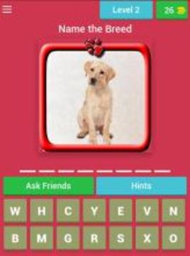 Dogs of the World游戲截圖5